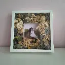 559136686_18067165586584406_3862841003944403912_n.jfif